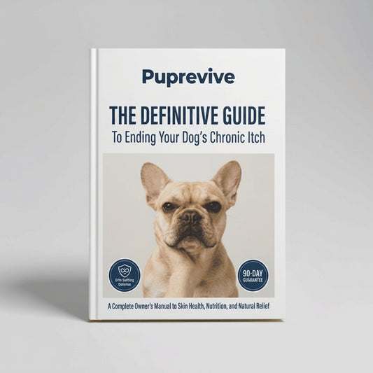 The Guide to Itch-Free Dogs