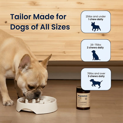 Advanced Skin & Itch Support Multivitamin Chews