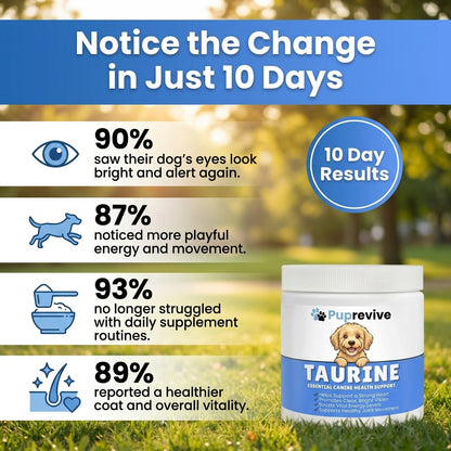 Stop the Quiet Decline in Your Dog with Puprevive Taurine