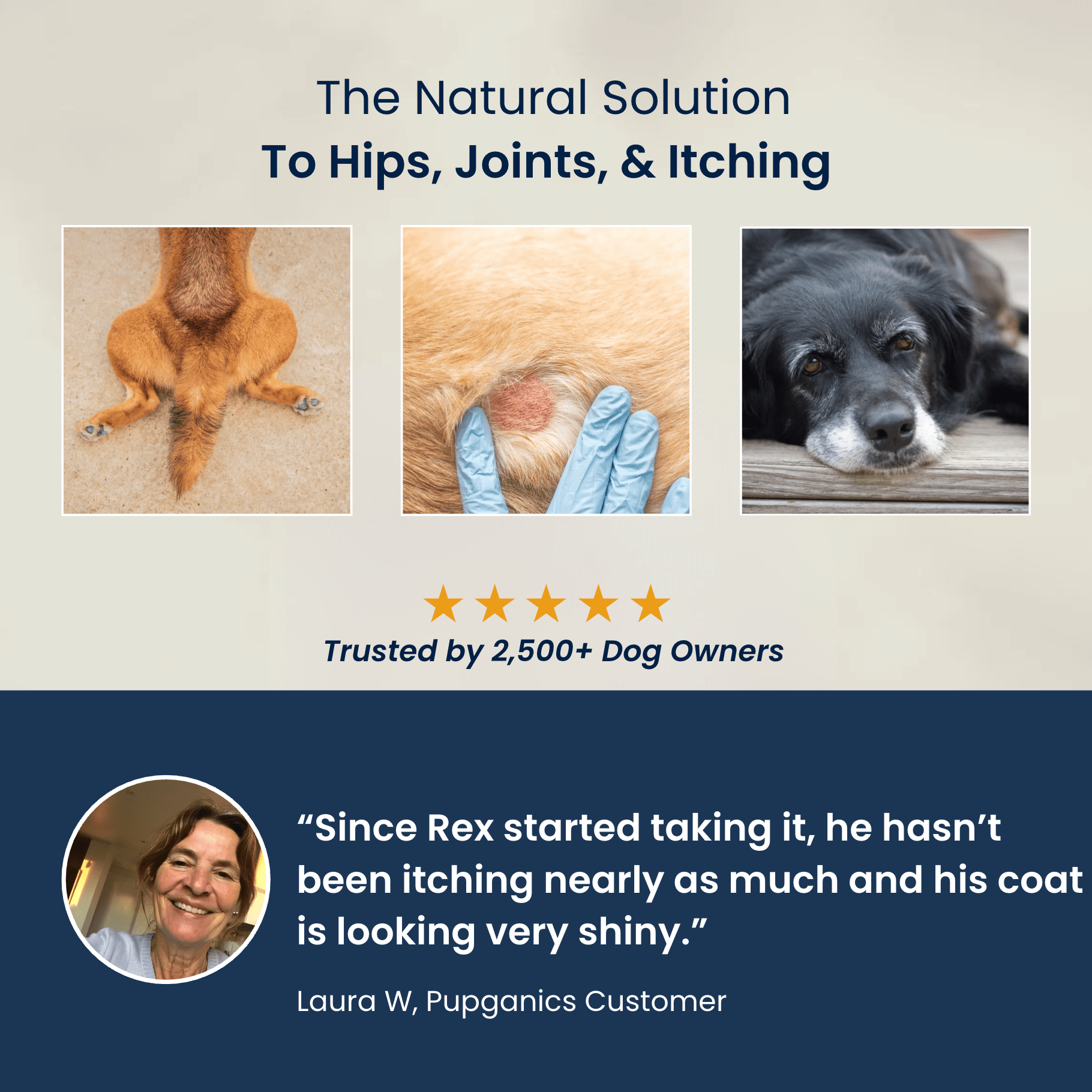 Advanced Skin & Itch Support Multivitamin Chews