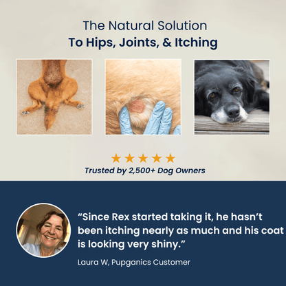 Advanced Skin & Itch Support Multivitamin Chews